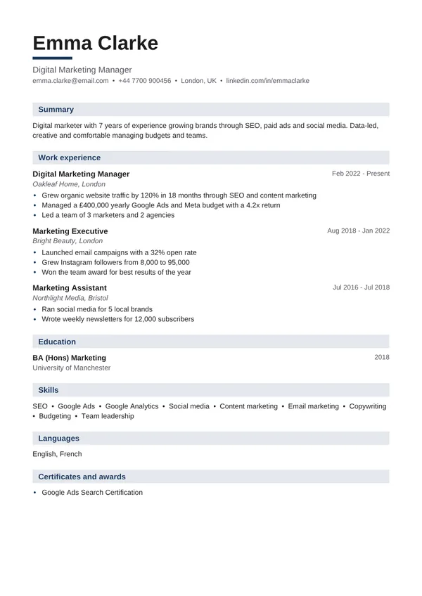 Executive resume design preview