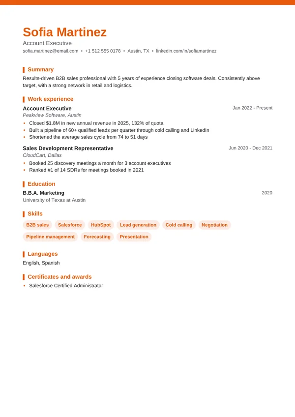Sales Executive resume example